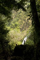 Falls seen through the forest