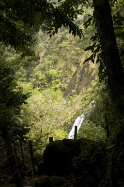 Falls seen through forest