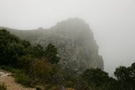 High headland in the fog
