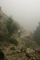 Man on foggy path