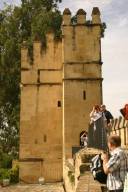 on the parapet of the Alcázares Reales, II